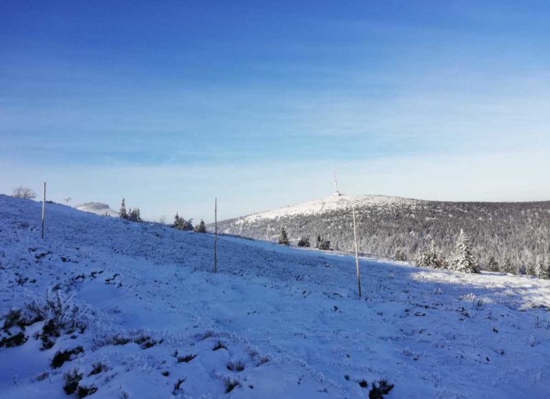 Foto: Anika Kotková