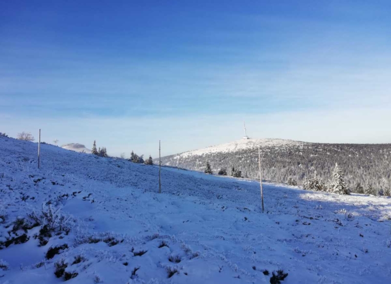 Foto: Anika Kotková