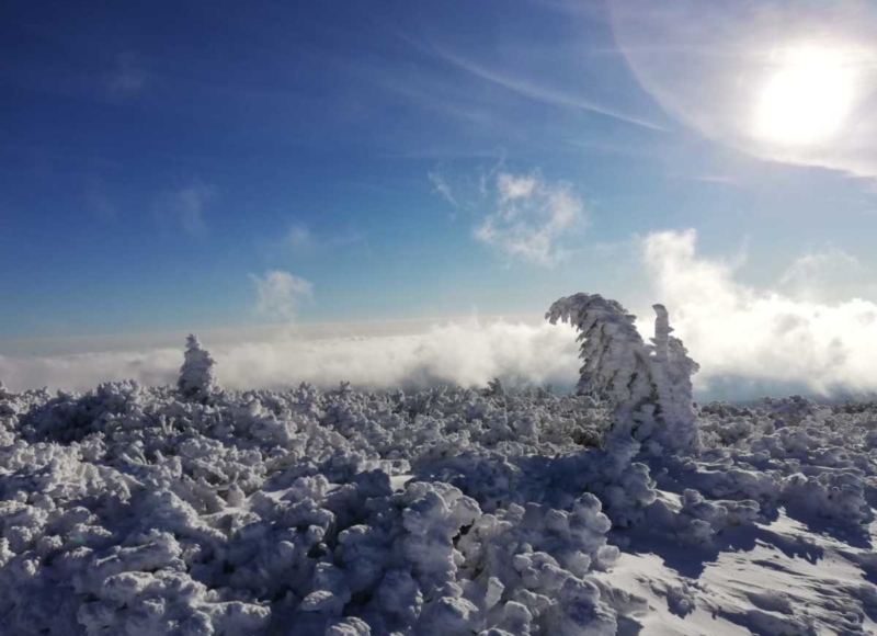 Foto: Anika Kotková