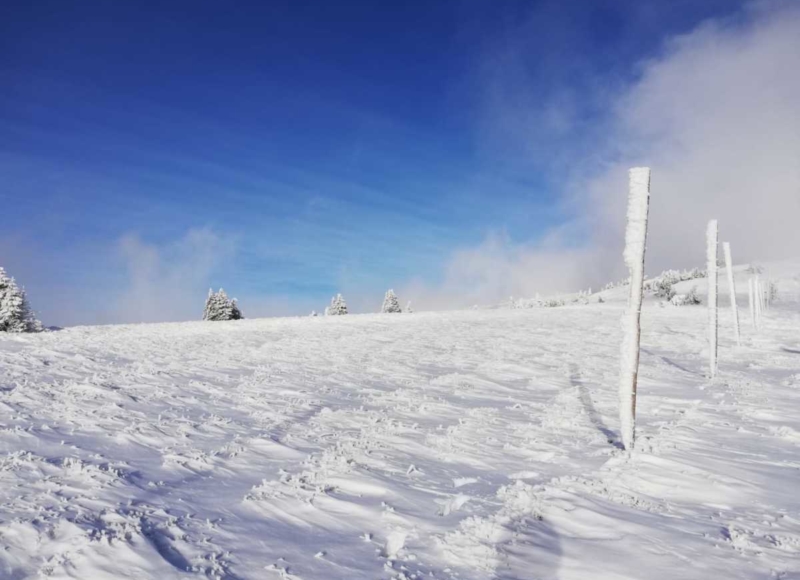 Foto: Anika Kotková