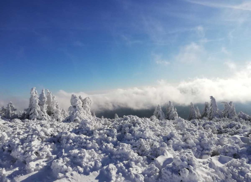 Foto: Anika Kotková