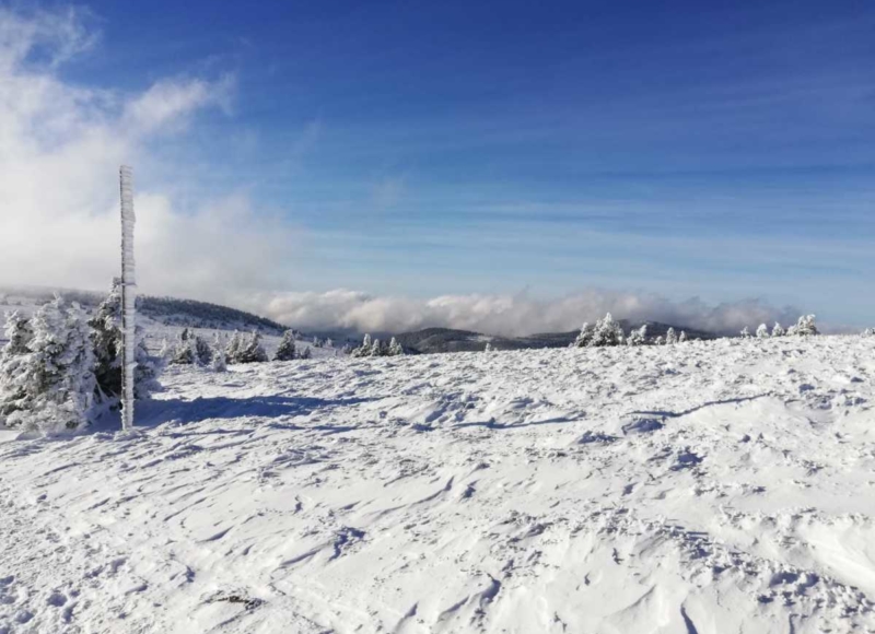 Foto: Anika Kotková