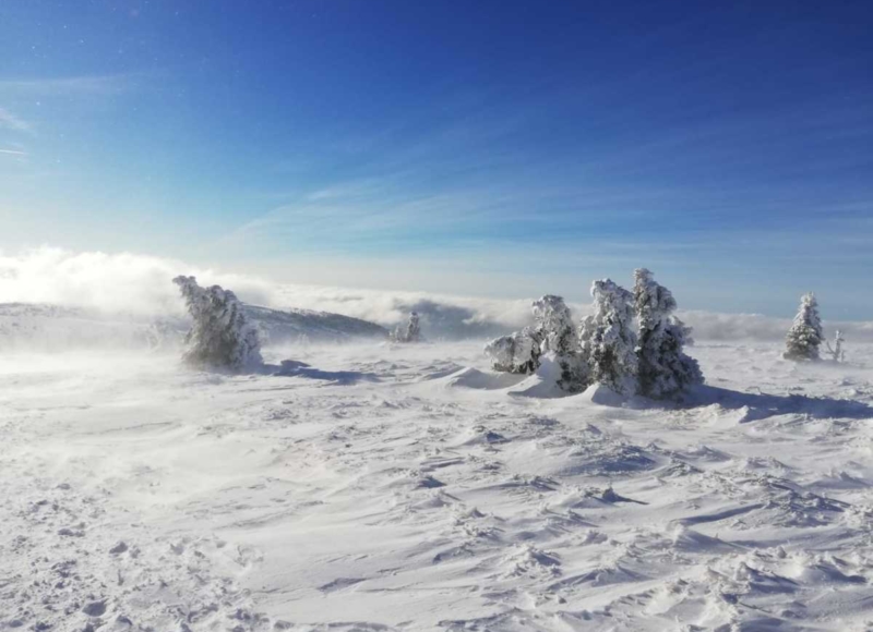 Foto: Anika Kotková