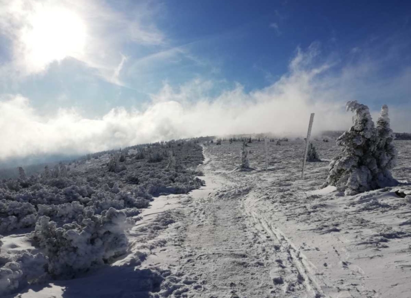 Foto: Anika Kotková