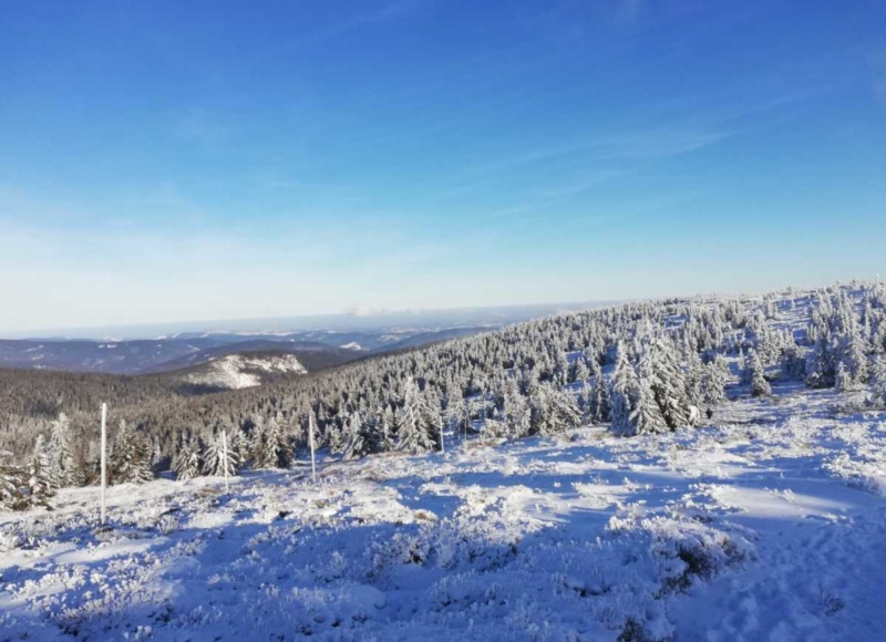 Foto: Anika Kotková