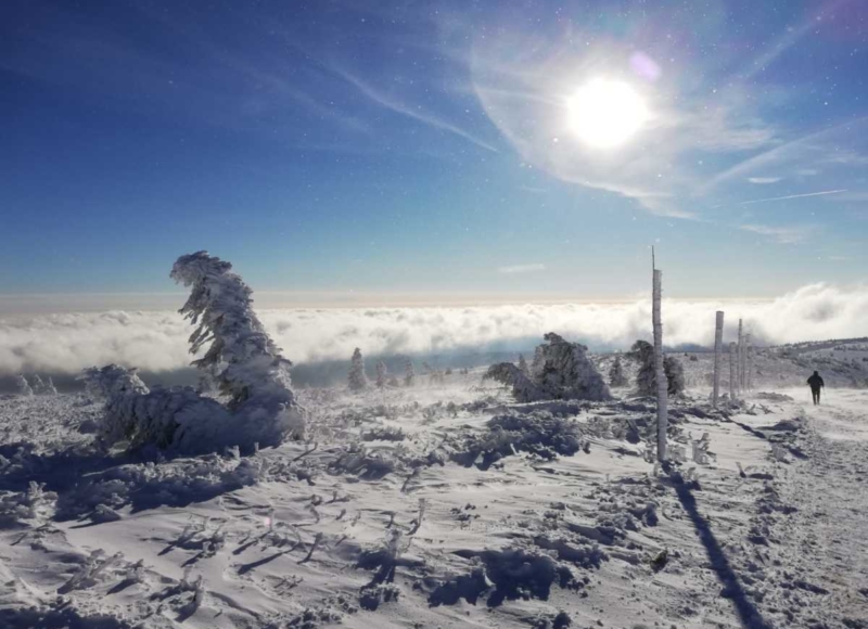 Foto: Anika Kotková