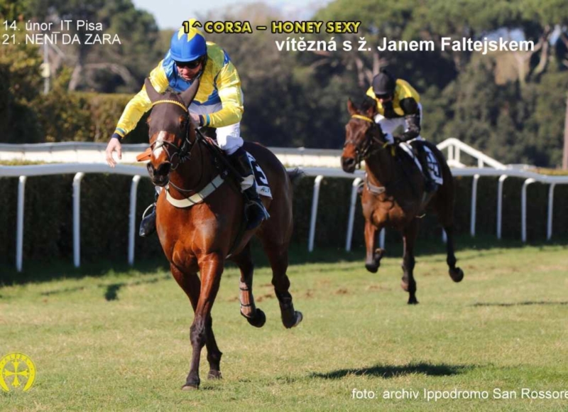 Foto: Miroslav Škoda