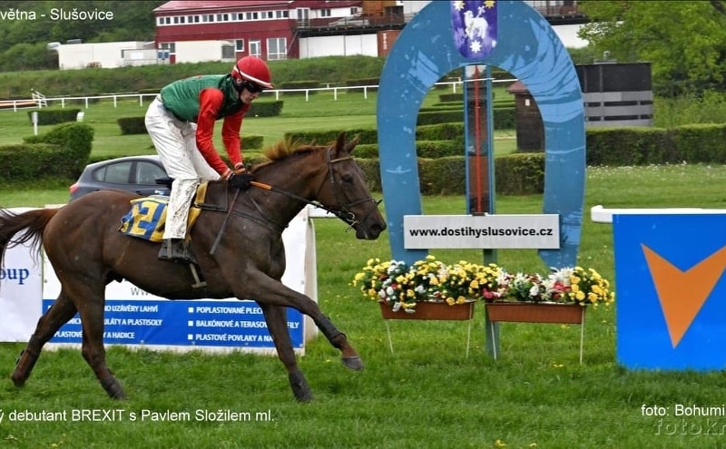 Foto: Miroslav Škoda