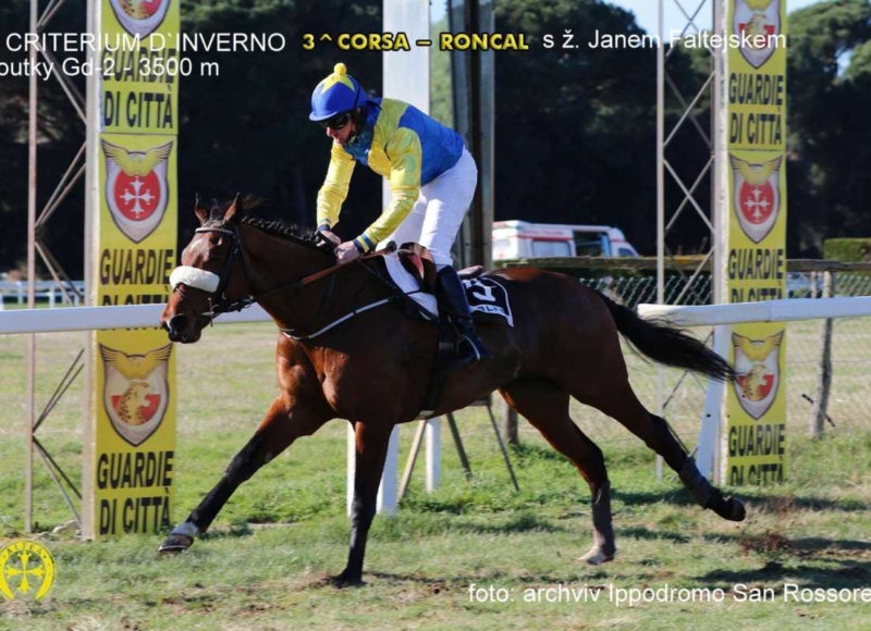 Foto: Miroslav Škoda