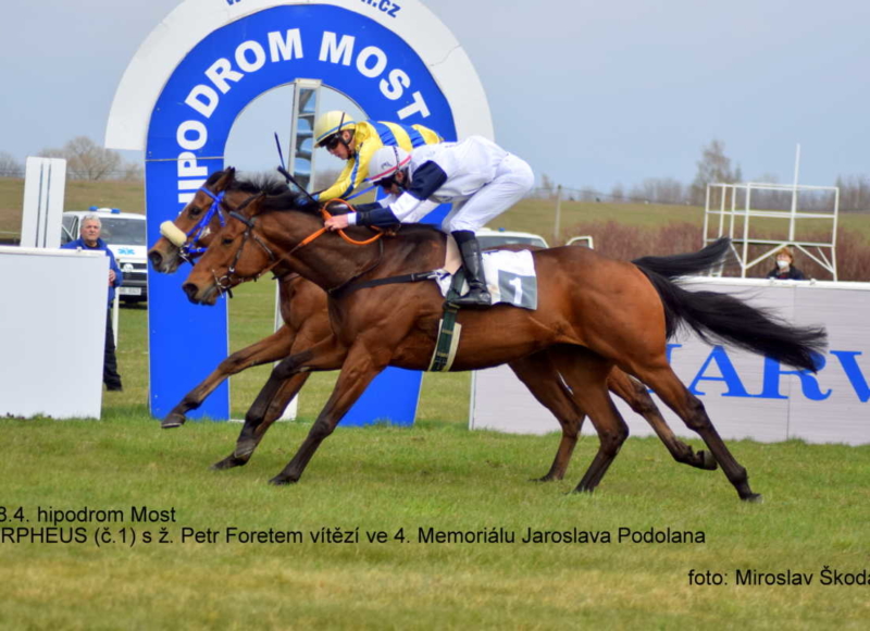 Foto: Miroslav Škoda