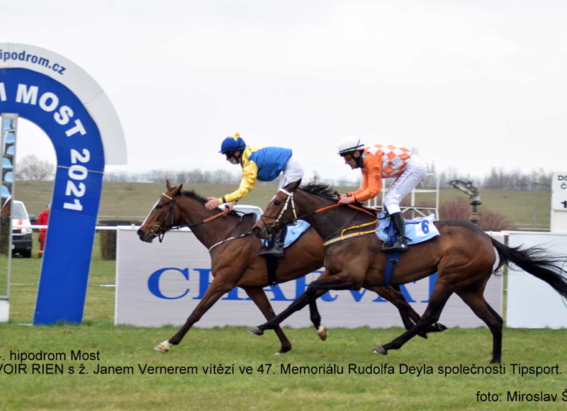 Foto: Miroslav Škoda