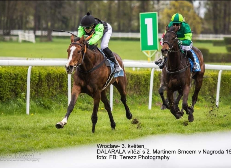 Foto: Miroslav Škoda