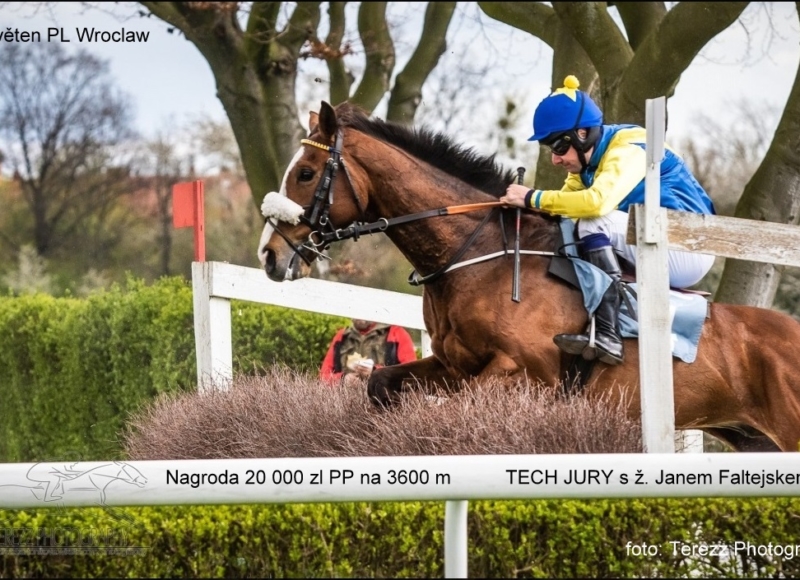 Foto: Miroslav Škoda