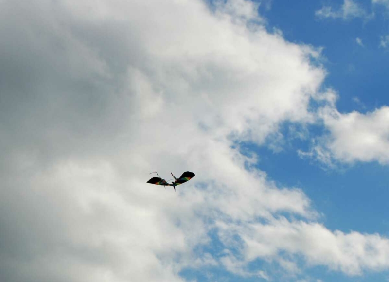 Foto: Zdenka Spurná